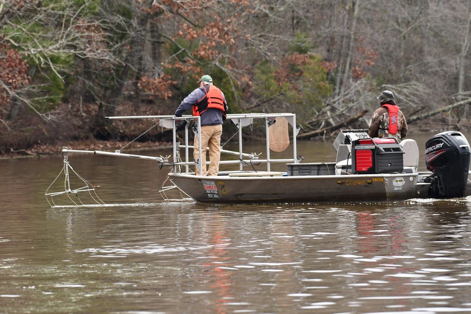 Two men conducting an electrofishing survey on a river in Decatur, Alabama.
